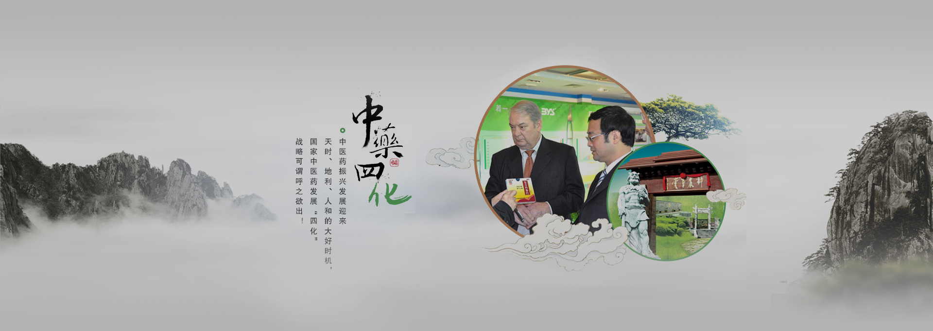 永春建站-若一医药科技