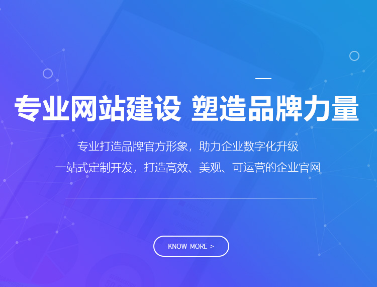 泉州建站-专业网站建设 塑造品牌力量